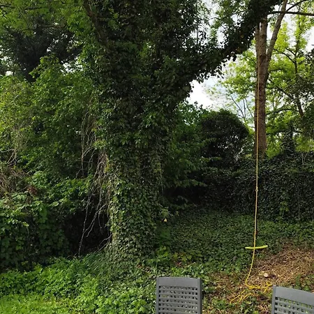 Am Lindenplatz, Bischleben